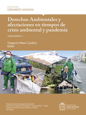 cover image of Derechos Ambientales y afectaciones en tiempos de crisis ambiental y pandemia, volumen I